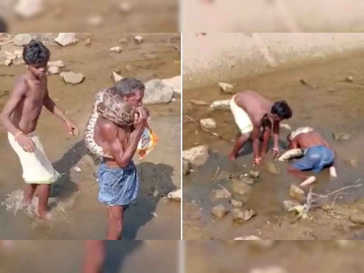 Python Video: नशे में धुत्त मछुआरे ने गले में लपेट लिया अजगर, फिर देखिए क्या हुआ...