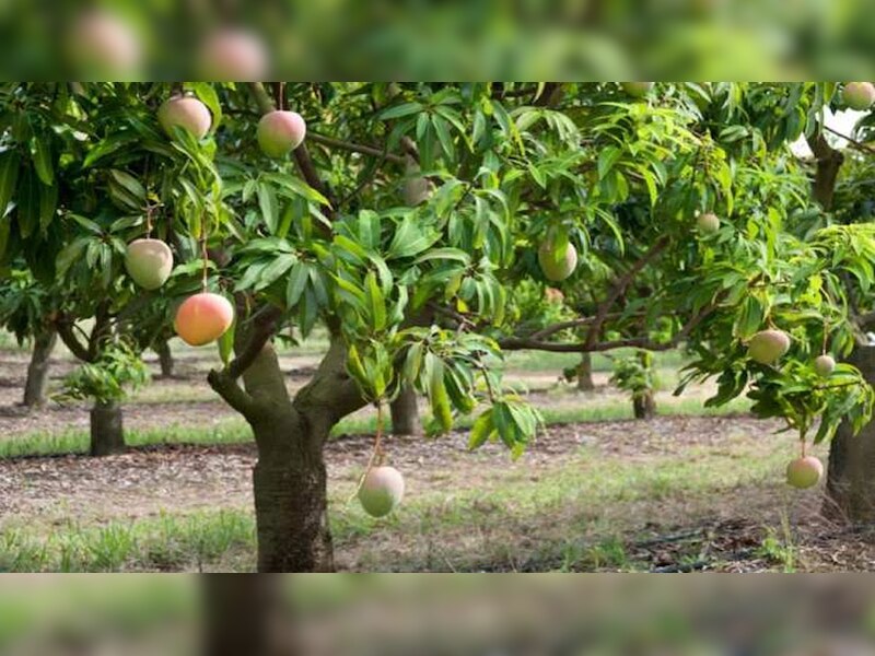 Dream Science types of dreams and their meanings definition sapno ka ...