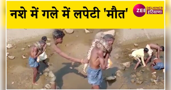 Drunk man wrapped Python around his neck son saved his life viral video ...