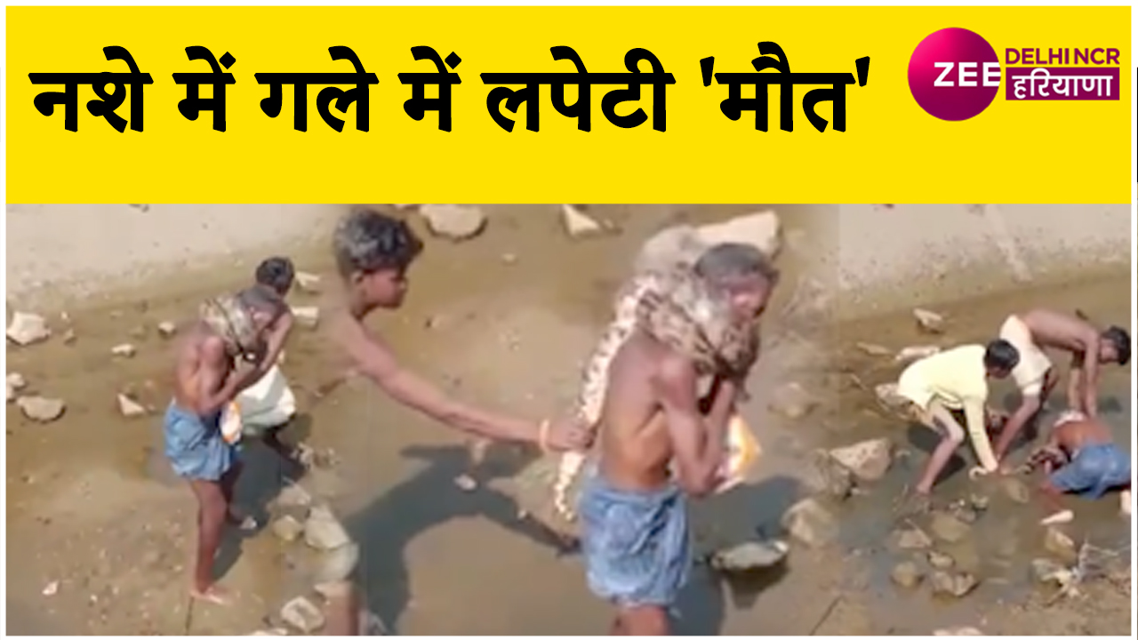 Drunk man wrapped Python around his neck son saved his life viral video ...