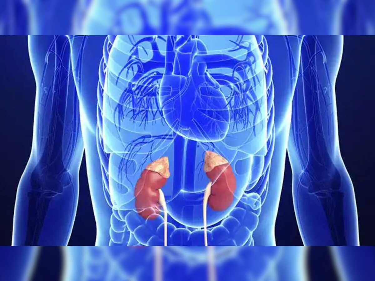 Signs of Kidney Problem: किडनी में खराबी होने पर शरीर देने लगता है ये 5 संकेत, भूलकर भी न करें इग्नोर; जान पर पड़ सकता है भारी
