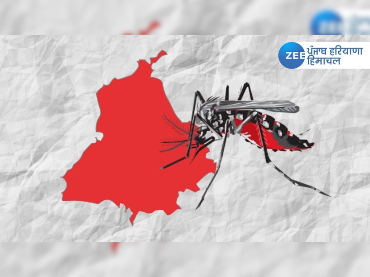 Dengue cases in Punjab: ਪੰਜਾਬ 'ਚ ਵੱਧ ਰਿਹੈ ਡੇਂਗੂ ਦਾ ਕਹਿਰ, ਹੁਣ ਤੱਕ 7 ਹਜ਼ਾਰ ਤੋਂ ਵੱਧ ਮਾਮਲੇ, 10 ਦੀ ਮੌਤ