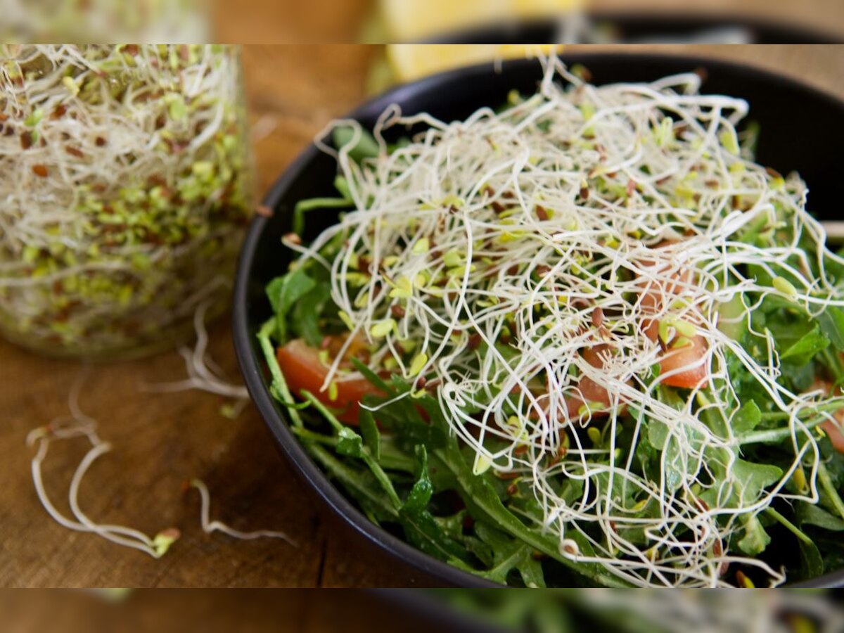Flaxseed Sprout Benefits: अंकुरित करके खाएं अलसी, इन बीमारियों का है रामबाण इलाज