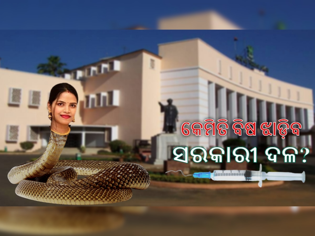 Odisha Assembly Session: ଏଥର ବିଧାନସଭାରେ ପଶିବ 'ନାଗ', ଗଦ ଖୋଜିବାରେ ବ୍ୟସ୍ତ ଶାସକ !