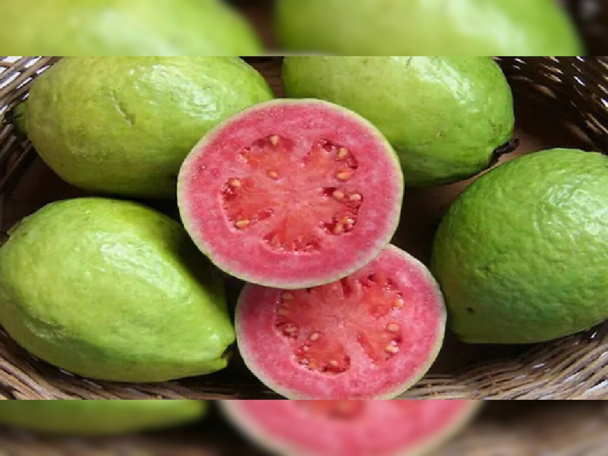 Benefits Of Guava: सर्दियों में अमरूद खाना बेहद फायदेमंद, ये 5 बीमारियों रहती है कोसों दूर 