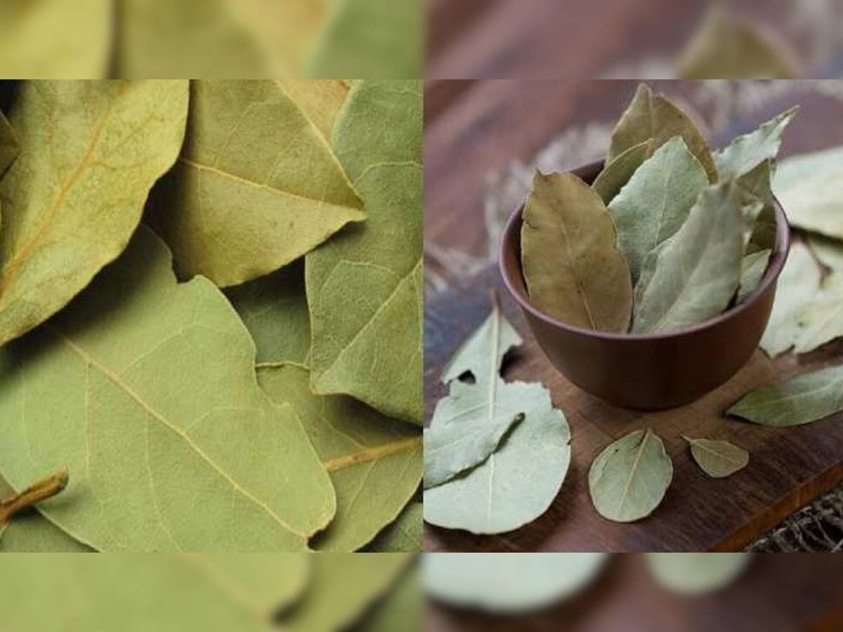 Boiled Bay Leaf Water Benefits: पानी में सुबह उबालकर पिएं तेजपत्ता, सेहत को मिलेंगे ये चमत्कारी फायदे