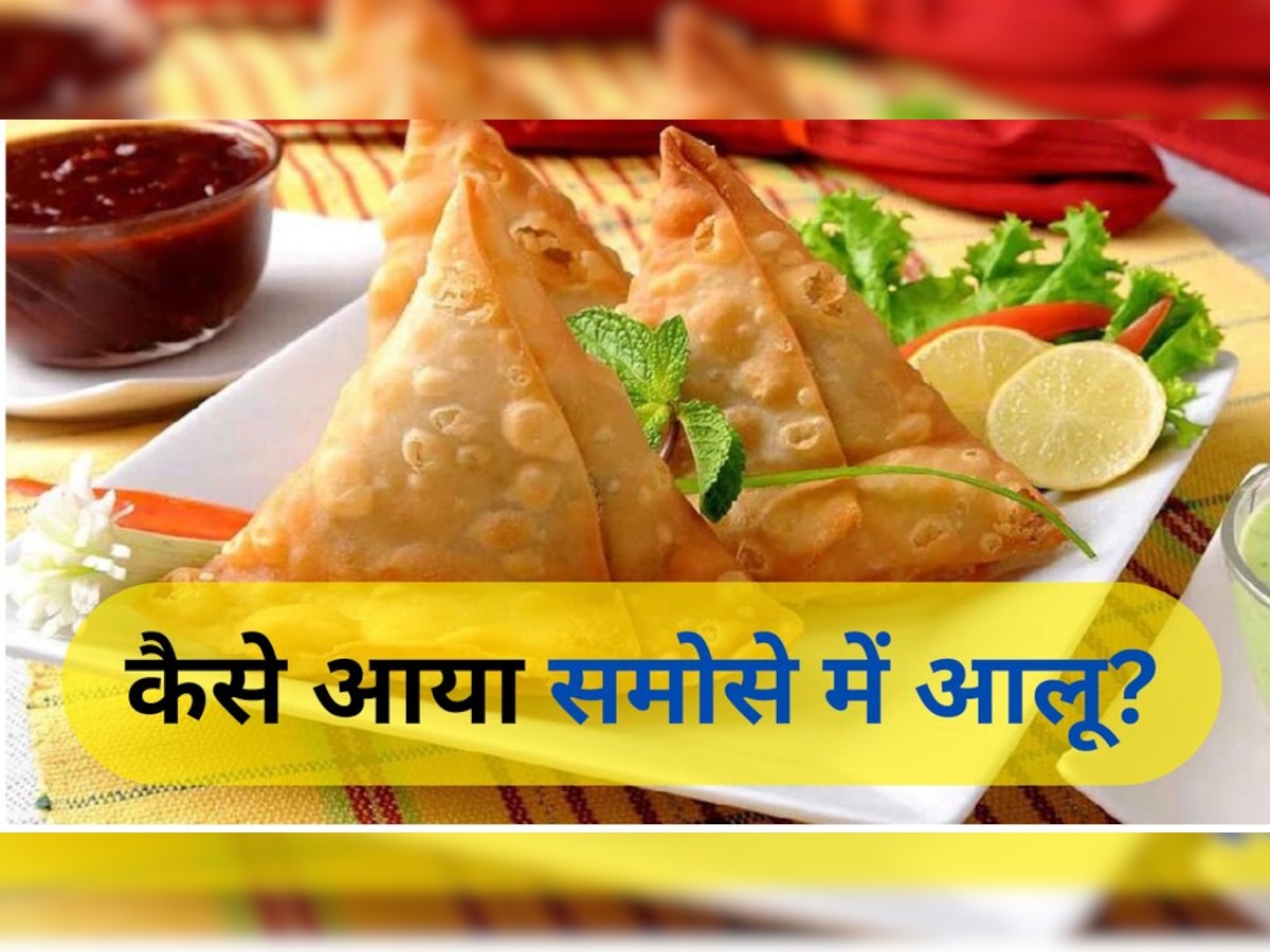 History of samosa: ईरान से चला समोसा कैसे आपके नाश्‍ते की प्‍लेट में आ गया? दिलचस्‍प है इसकी कहानी  