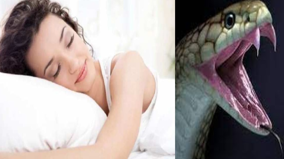 Snake Bite In Dream Meaning Sapne Me Saap Dekhne Ka Matlab Kya Hota Hai Stmp Snake Dream