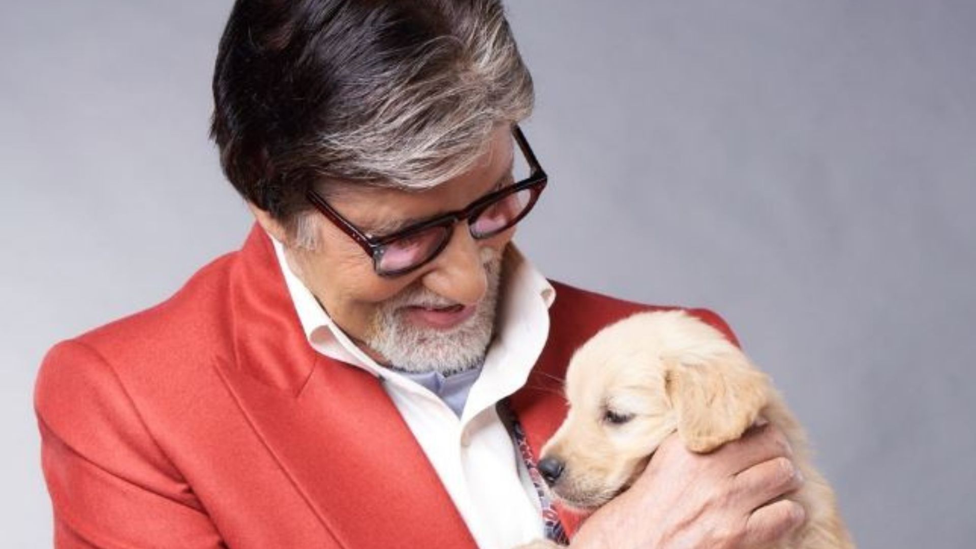 Amitabh Bachchan Pet Dog: नन्हे दोस्त के निधन पर बिग बी हुए इमोशनल, जाहिर किया दुख