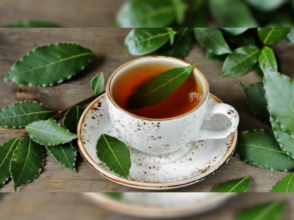 Tejpatta Tea: सर्दियों में रोजाना पिएं तेजपत्ता की चाय, सेहत को मिलेंगे चौकाने वाले लाभ