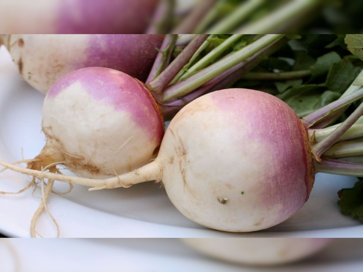 Turnip Benefits: सर्दियों में रोजाना शलजम खाने से ब्लड शुगर लेवल रहता है कंट्रोल, सेहत को मिलेंगे ये बड़े  लाभ