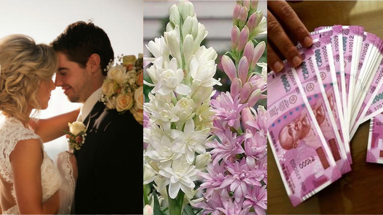 Rajnigandha brings sweetness in husbandwife relationship gives relief