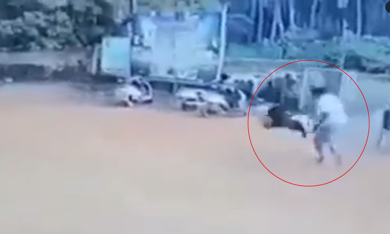 Video: मदरसे के बाहर खड़ी छोटी सी बच्ची को शख्स ने जमीन पर पटका,, वीडियो हुआ वायरल Video: मदरसे के बाहर खड़ी छोटी सी बच्ची को शख्स ने जमीन पर पटका,, वीडियो हुआ वायरल