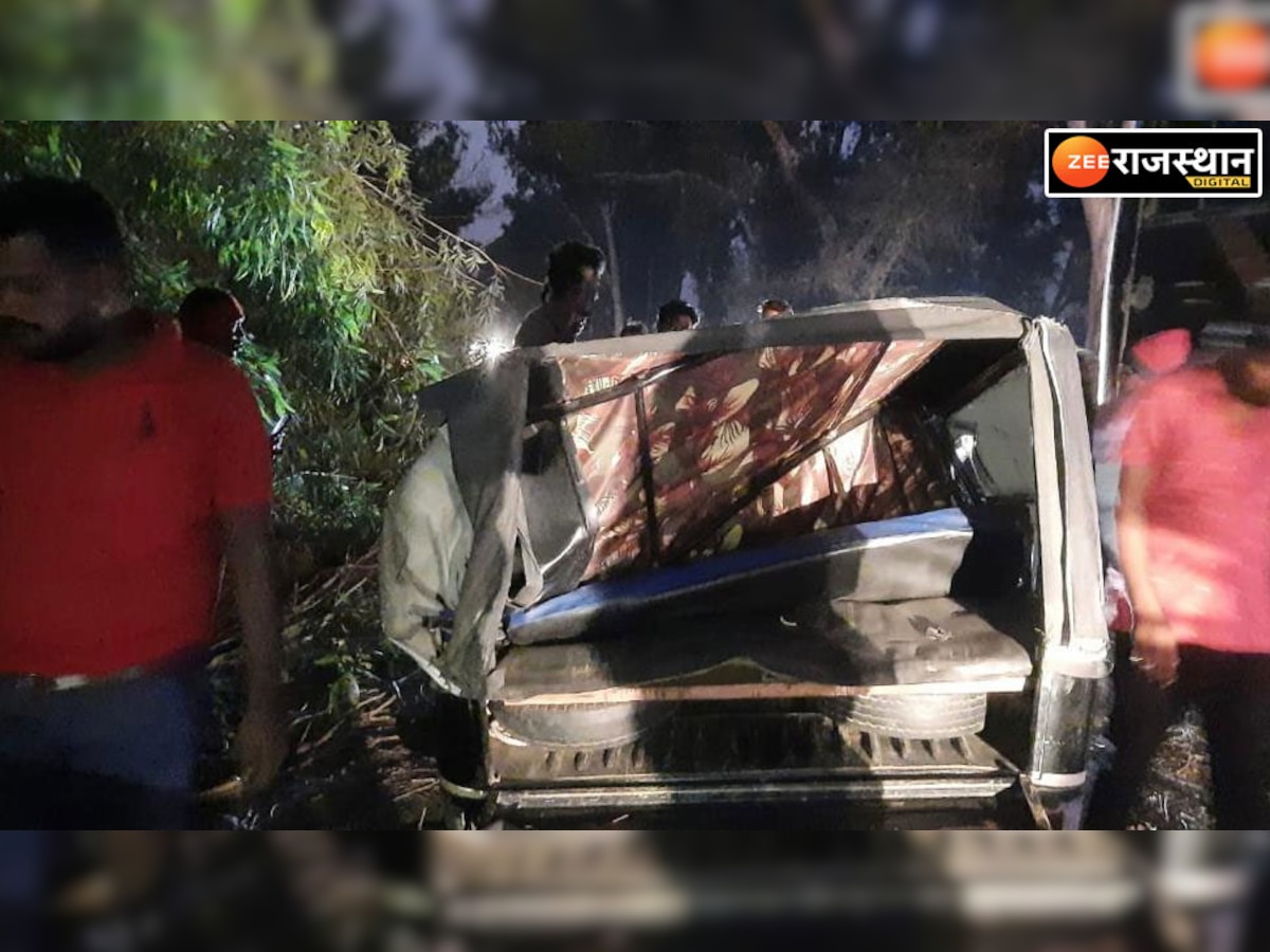 गढ़ी: ऑटो पर गिरा नीलगिरी का पेड़, चालक हुआ गंभीर घायल