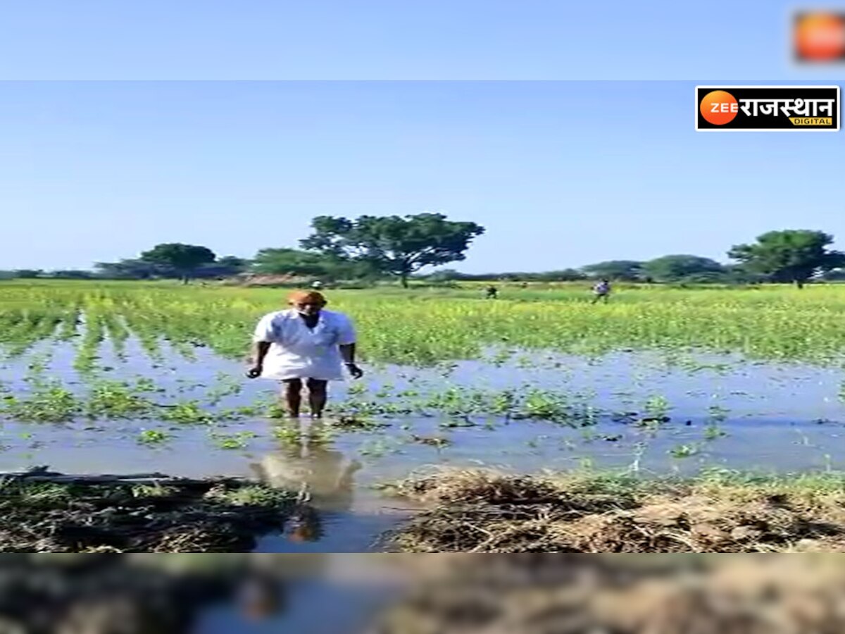 Tonk News : नहर से छोड़े पानी से सरसों फसल गलने की आंशका, किसानों ने ADM को ज्ञापन दिया