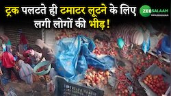 Gaya: गया में ट्रक पलटते ही टमाटर लूटने के लिए लगी लोगों की भीड़! 