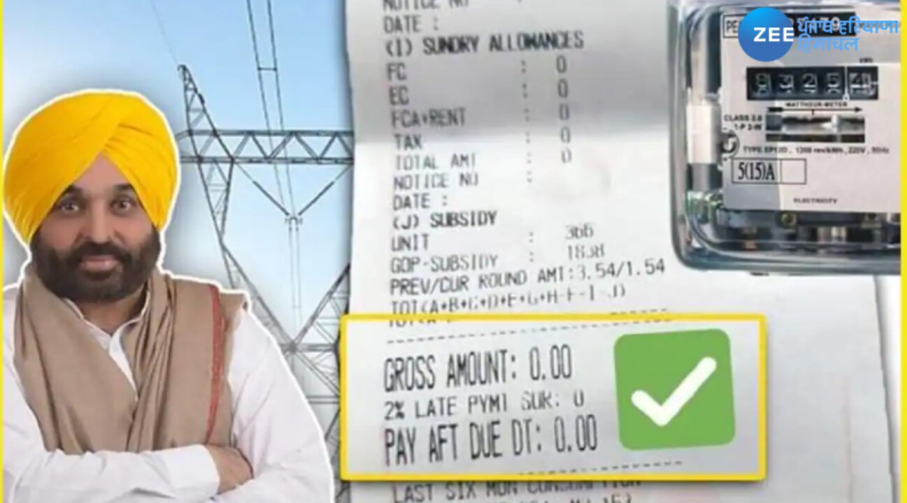Electricity Bill Of Punjab at Cole Gault blog