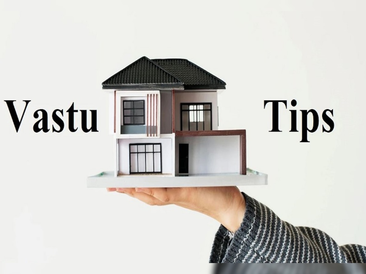 Vastu Tips: ଭୁଲରେ ବି ଘରର ମୁଖ୍ୟ ଦ୍ବାର ଏହି ଦଗରେ କରନ୍ତୁ ନାହିଁ, ନଚେତ୍ ମାଡି ଆସିବ ବଡ ବିପଦ !