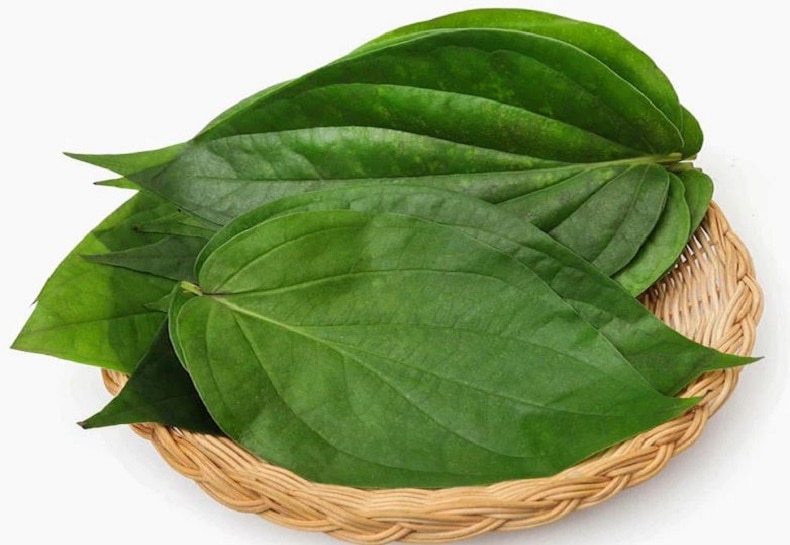 betel-leaves-side-effects-oral-cancer-blood-pressure