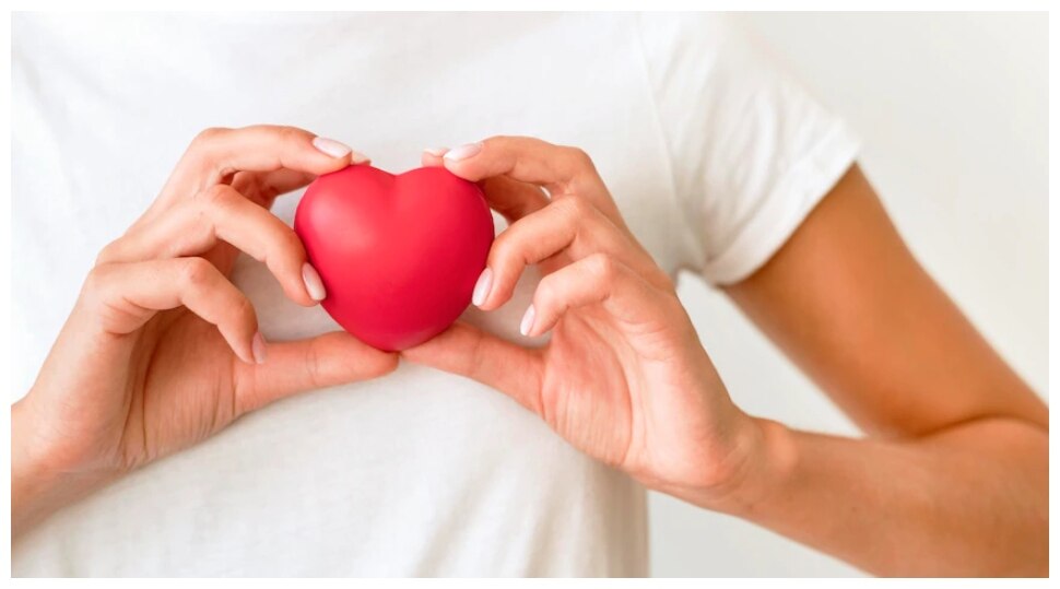 Cholesterol Control: बैड कोलेस्ट्रॉल की दुश्मन हैं ये चीजें, डाइट में कर लें शामिल; कोसों दूर रहेंगी बीमारियां
