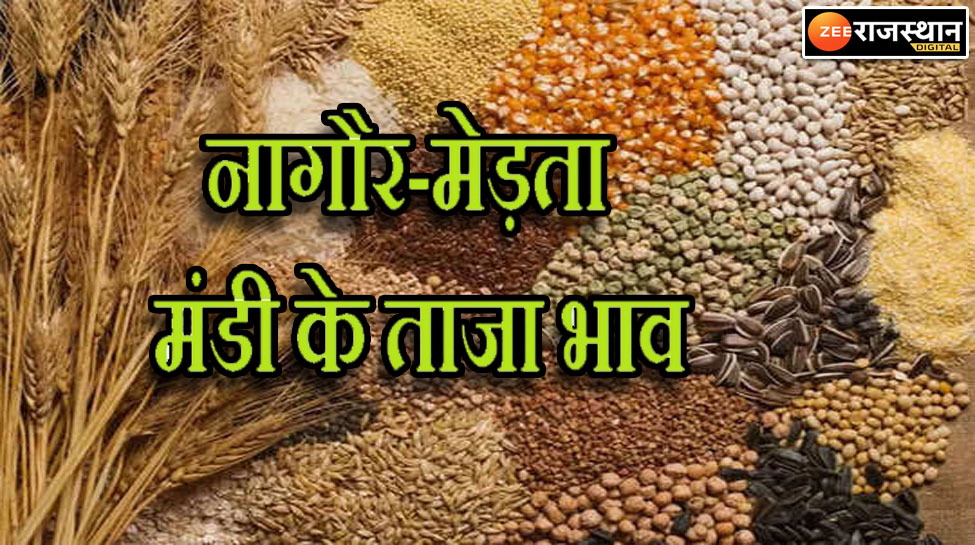 Nagaur Merta mandi bhav Arrival of moong guar and jowar increased know