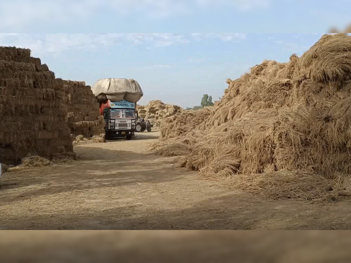 पराली बनी खुशहालीः हरियाणा के इस जिले में लगी पराली की मंडियां, किसानों को भी हो रहा है हजारों का फायदा
