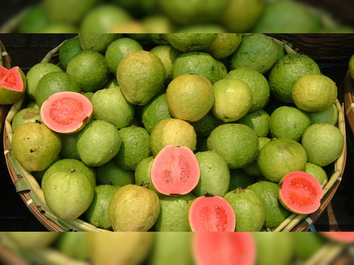 Guava benefits: महिलाओं और पुरुषों की इन समस्याओं में अमरूद है रामबाण; लेकिन यह है खाने का सही तरीका