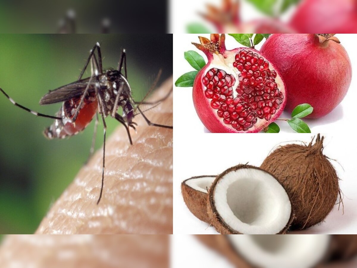 Dengue Recovery Fruits: डेंगू में हर दिन करें इन फलों का सेवन, जल्द होंगे रिकवर!