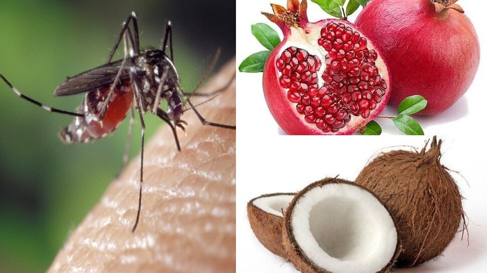 Dengue Recovery Tips Eat These Fruit Daily To Recover From Dengue Viral 