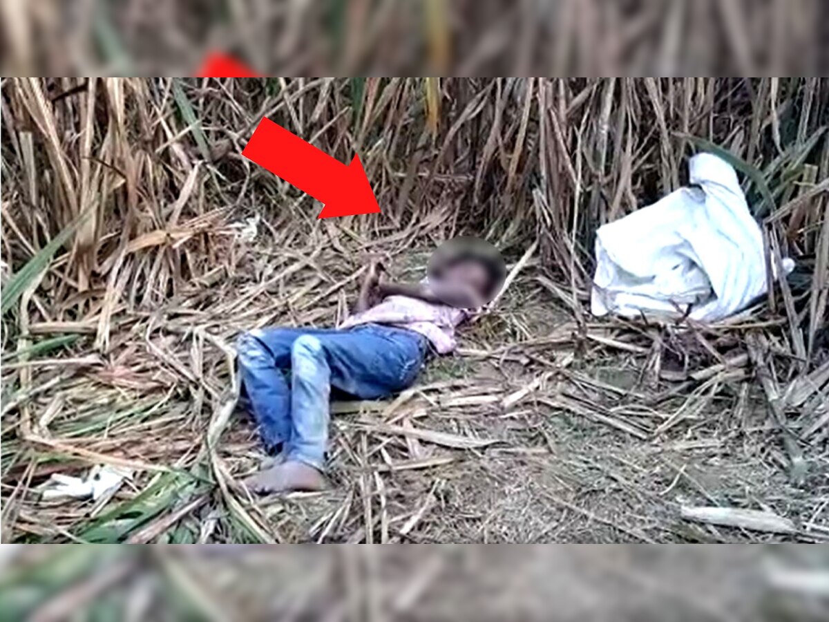 Kidnapping: किडनैपर्स को कैश नहीं चाहिए था 'चेक', अपहरण के बाद बच्ची का जंगल में मिला था शव 