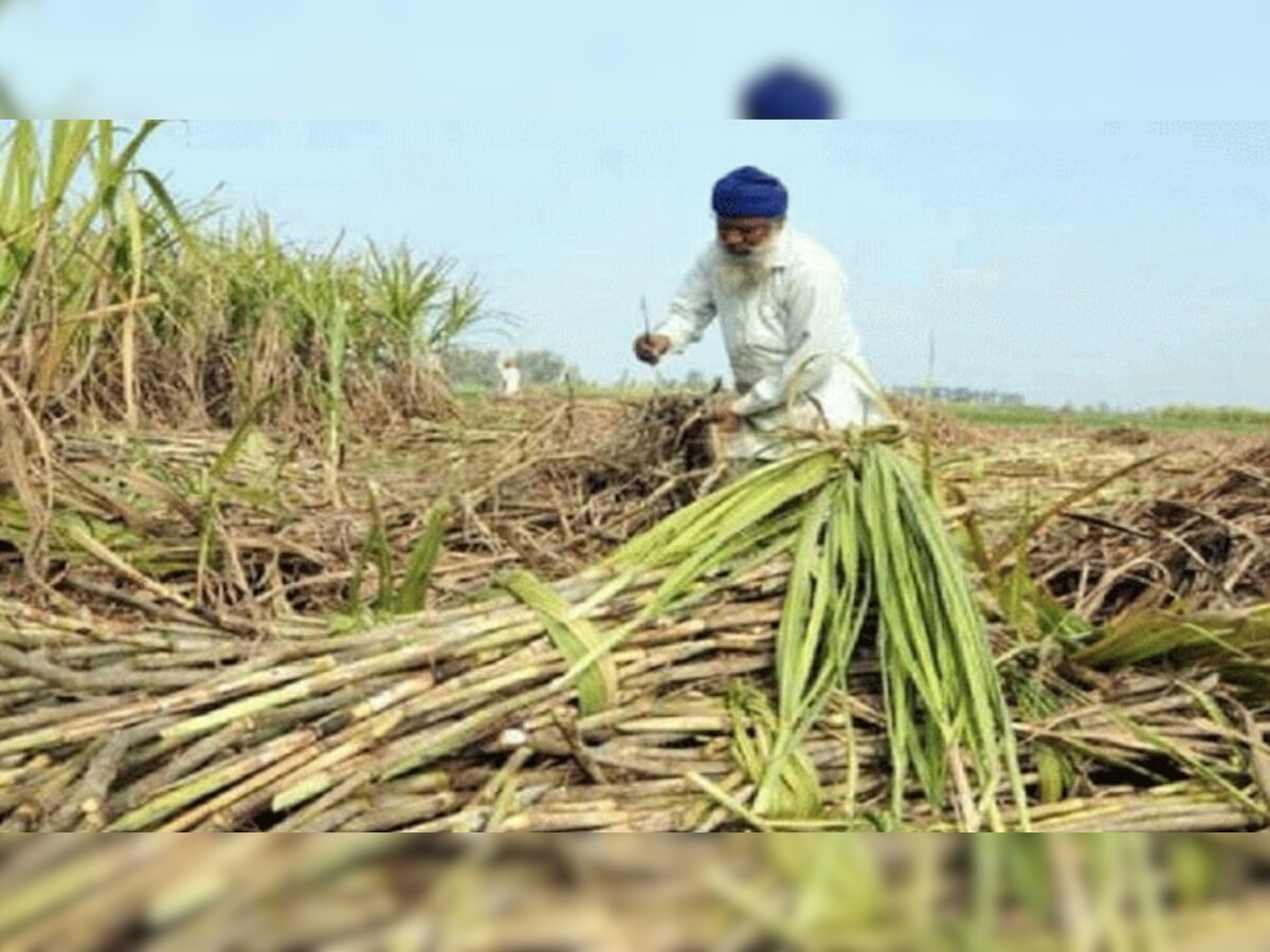 भूपेंद्र सिंह हुड्डा बोले- मनोहर सरकार ने दिया किसानों को झटका,अब 7% होगी वजन कटौती