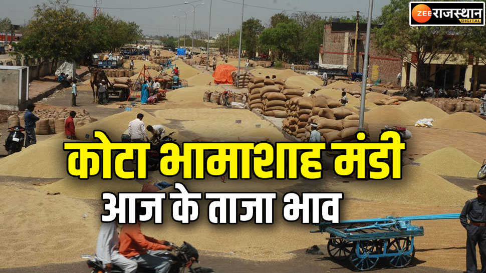 Kota mandi : कोटा मंडी में कीमतों का दायरा बढ़ा, जानिए सोयाबीन, सरसों और लहसून के ताजा भाव