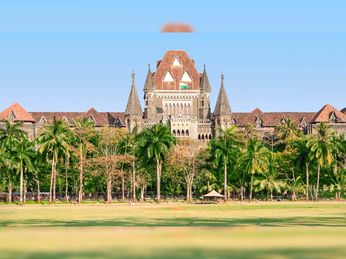 Bombay High Court: 'मेरी पत्नी HIV पॉजिटिव है...' कहकर कोर्ट पहुंचा शख्स, 11 साल बाद आया ये फैसला