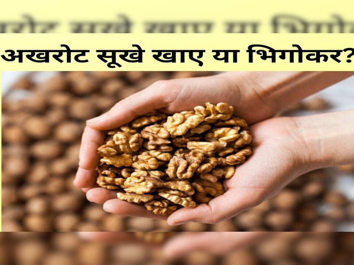 Walnuts Health Benefits: सर्दी में अखरोट खाने के हैं गजब फायदे, अच्‍छी सेहत बनानी है तो खाने का ये तरीका जान लीजिए