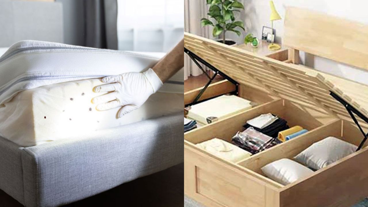 important to clean the bed from inside how to clean bed from inside