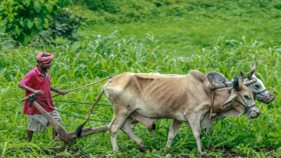 कैसे देख सकते हैं स्टेटस?
