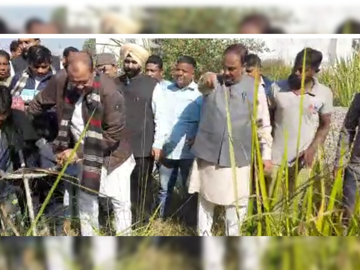 Uttarakhand: झाड़ियां देख भनके विपक्ष के नेता यशपाल आर्य, खुद काटने लगे घास