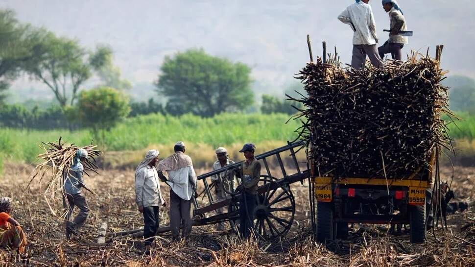 UP News : योगी सरकार का बड़ा फैसला, अब गन्‍ना ले जाने वाले किसानों को करना होगा यह जरूरी काम 