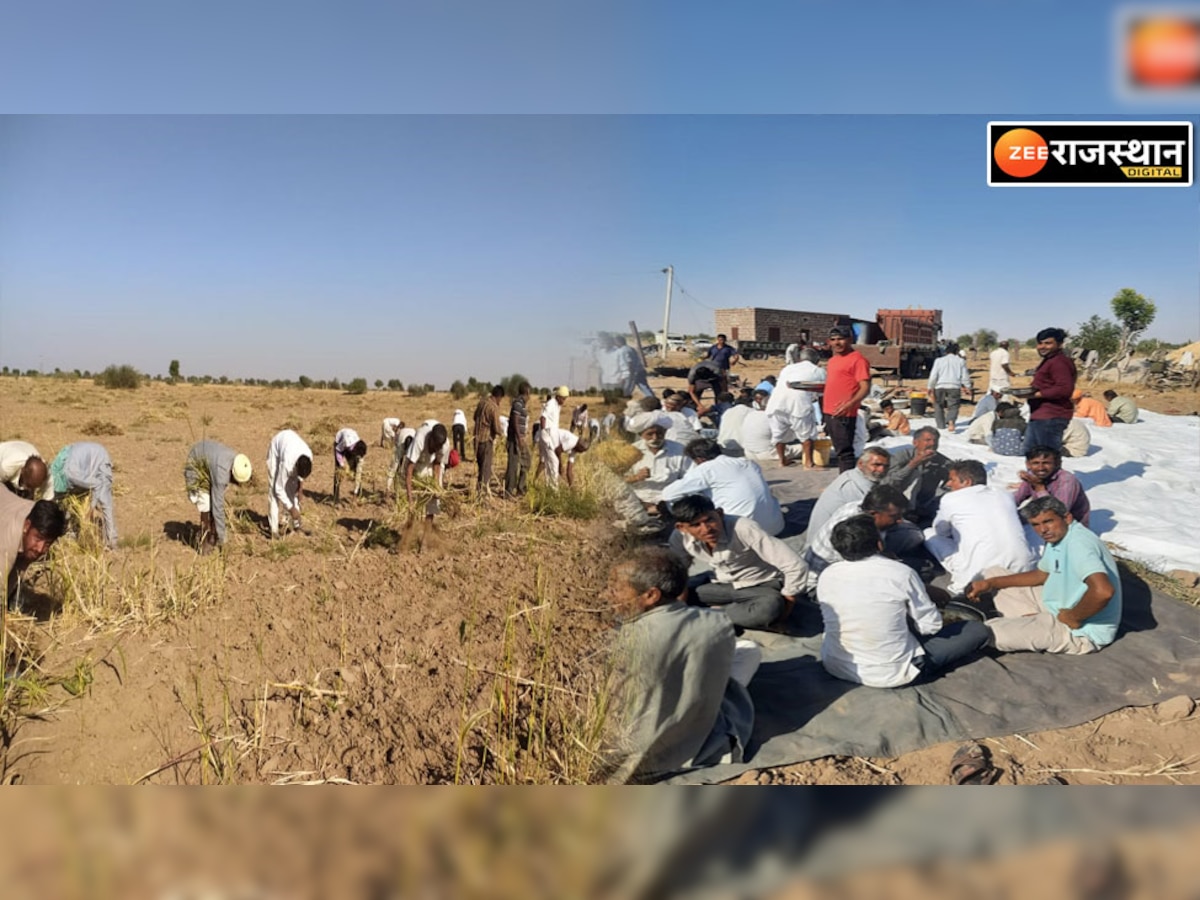 पोकरण: हाथों में औजार लिए गीत गा रहे सैकड़ों किसान, जानें क्या ये लाह परंपरा?