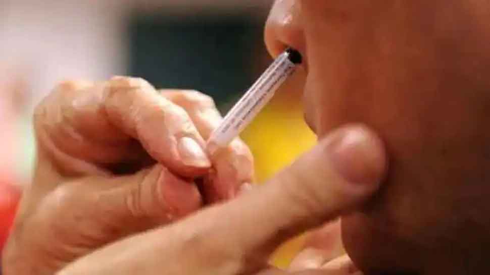 Covid Nasal Vaccine: दुनिया की पहली कोरोना नेजल वैक्सीन, जो किसी भी वैक्सीन की बूस्टर हो सकती है