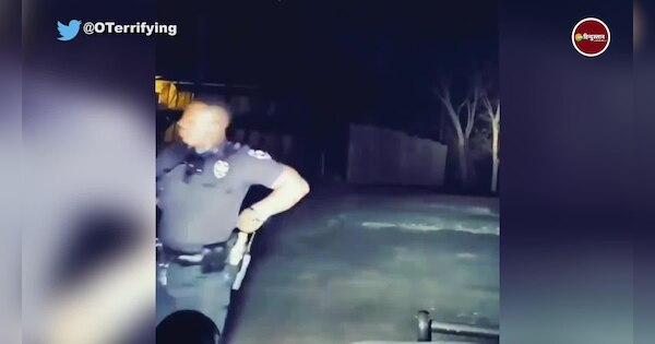 shocking video of policeman gets scared by mountain lion scream ...