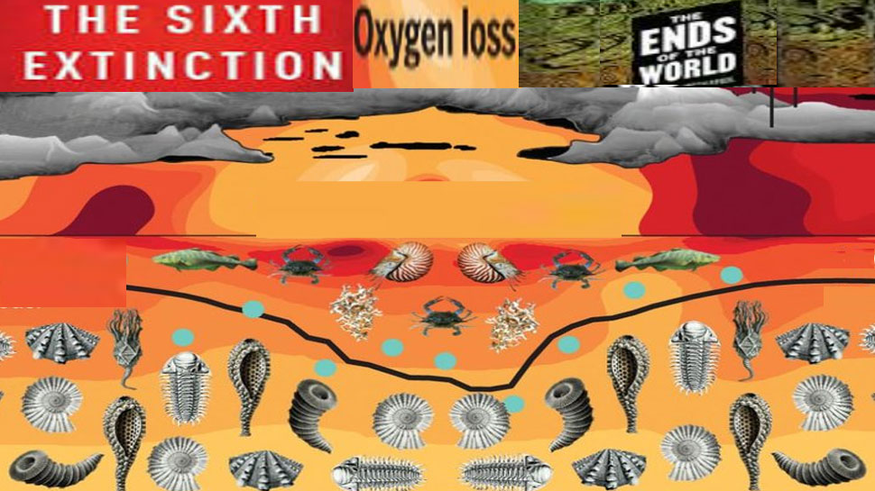 sixth mass extinction caused by lack of oxygen toxic water climate ...