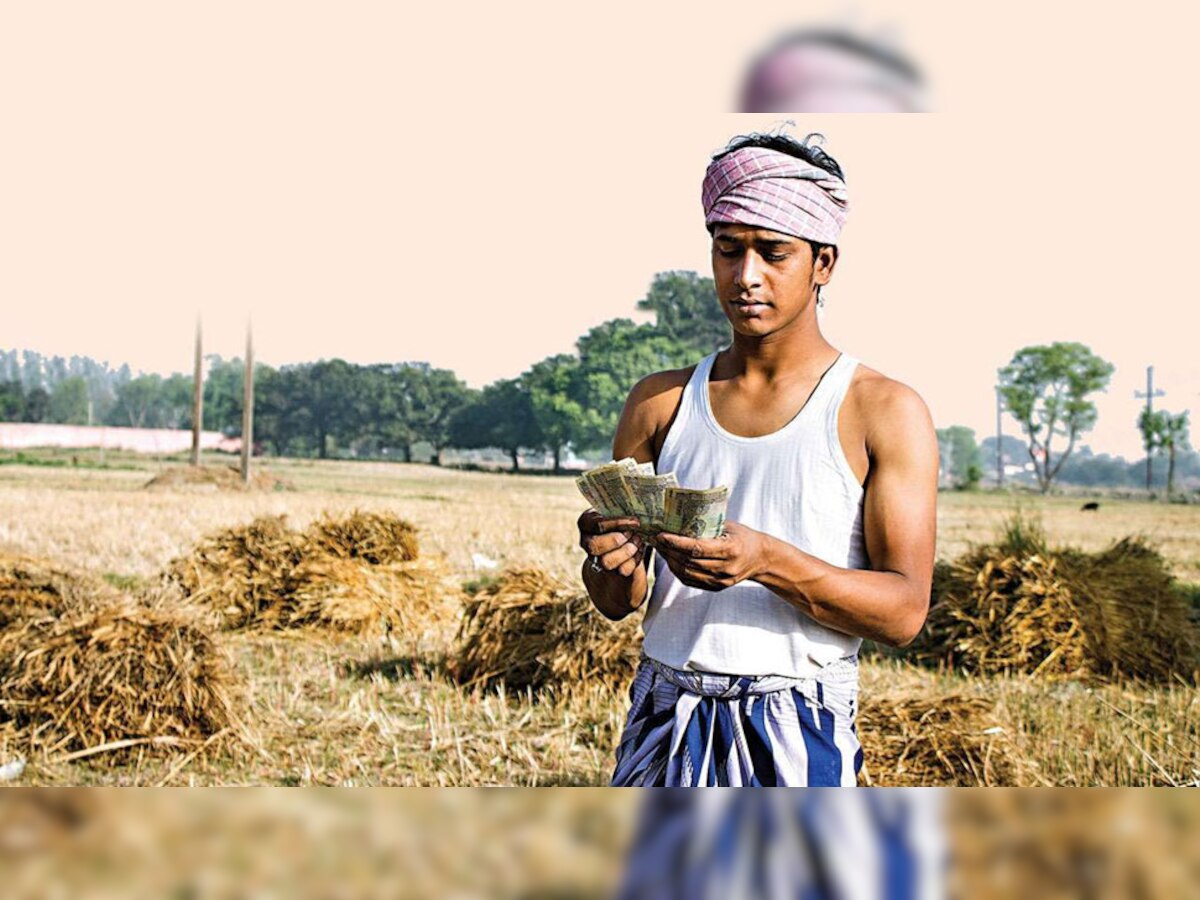PM Kisan की 13वीं क‍िस्‍त से पहले ऐसे क‍िसानों की बल्‍ले-बल्‍ले, सरकार ने जारी की इनपुट सब्सिडी