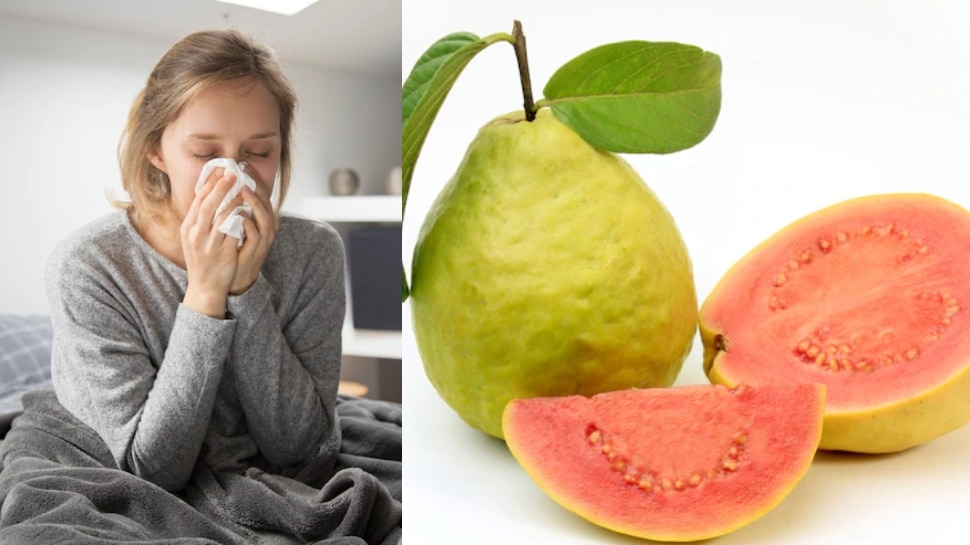  Guava Side Effects: इन बीमारियों में उल्टा असर करता है अमरूद, खाने से पहले हो जाएं अलर्ट