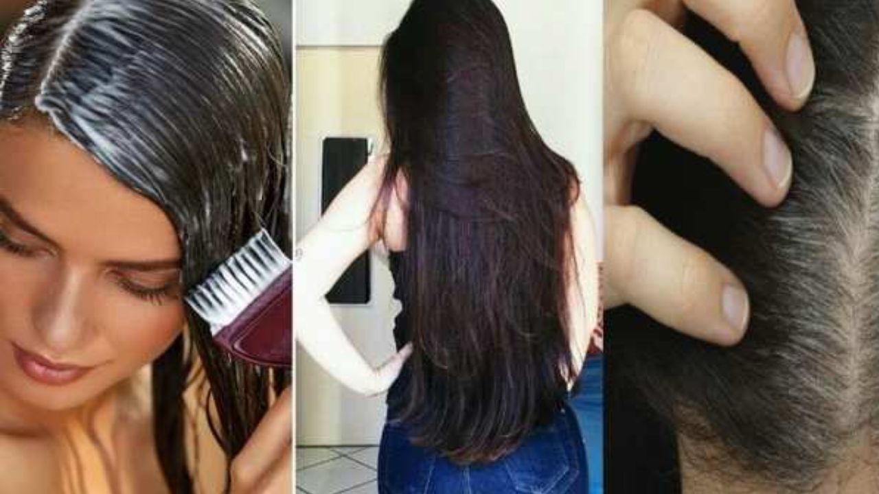Hair Growth Tips: कमर तक काले-खूबसूरत लंबे बालों के लिए इन Vitamins को बना लें डाइट का हिस्सा, बालों की ग्रोथ देख दोस्त-यार रह जाएंगे दंग