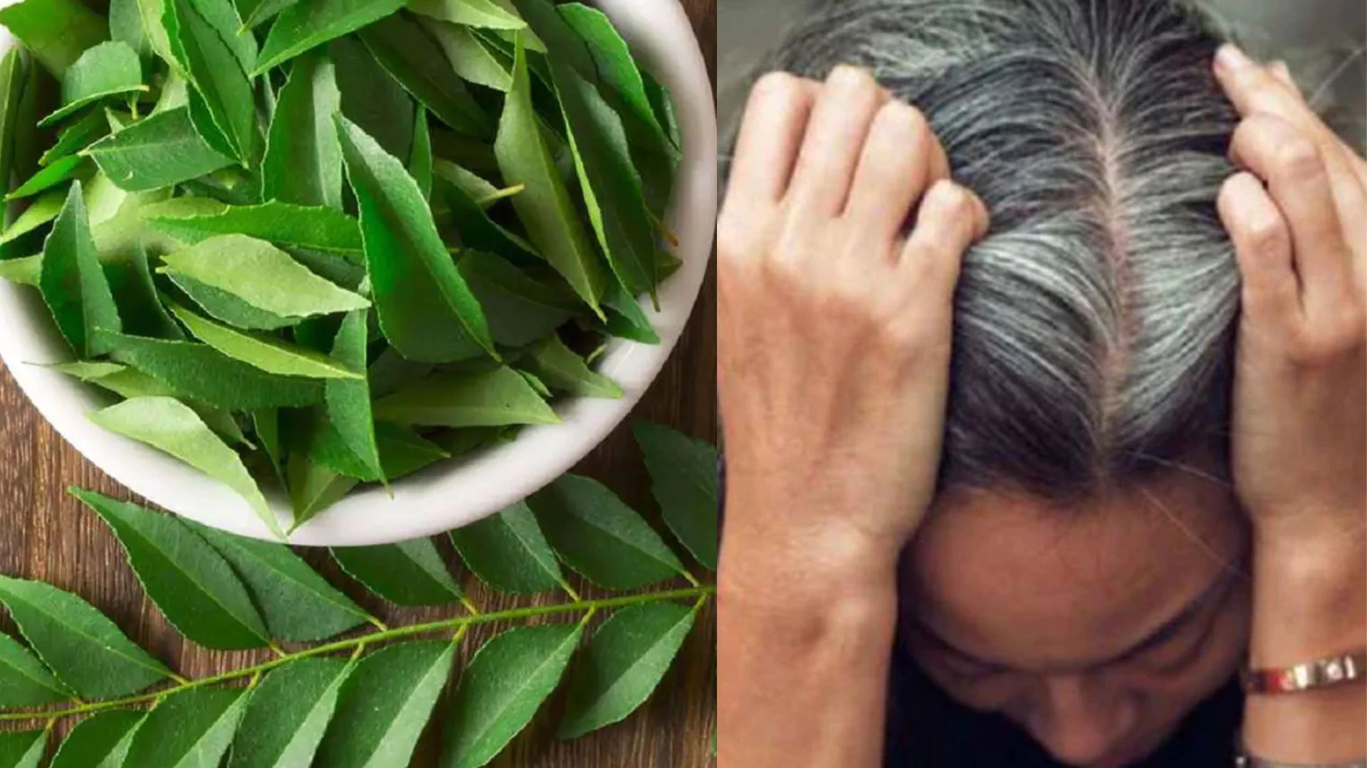 Stunning Curry Leaves For Hair Design in 4K Stunning Curry Leaves For Hair Design in 4K