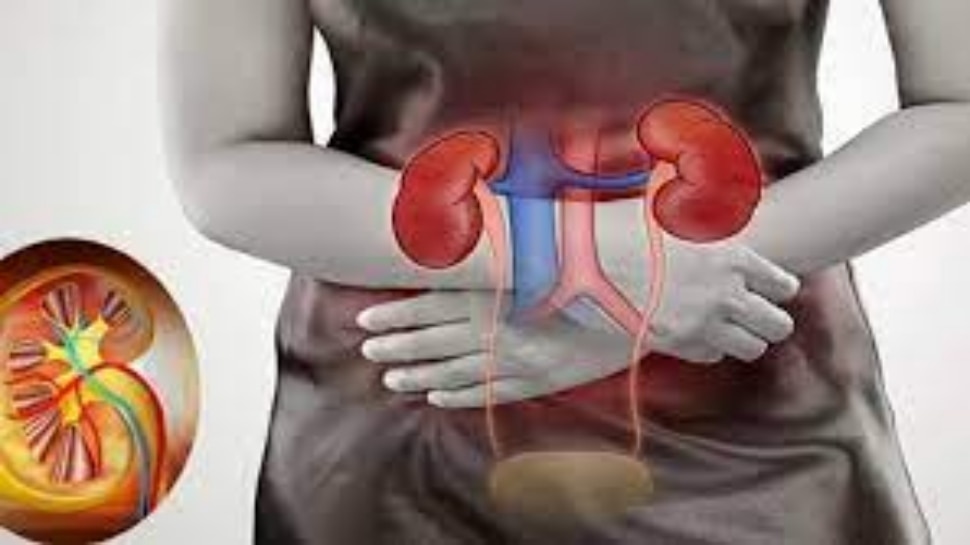 Kidney फेल होने पर शरीर में दिखते हैं ये संकेत, इन बातों को जानकर समय रहते हो जाएं अलर्ट