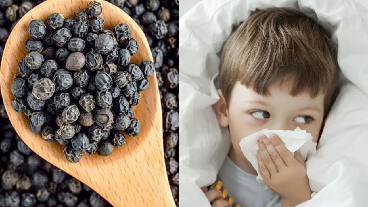 Cough And Cold: सर्दी-खांसी की चपेट में आ गए हैं बच्चे, काली मिर्च का ऐसे करें इस्तेमाल; सभी दिक्कतों से मिलेगा छुटकारा