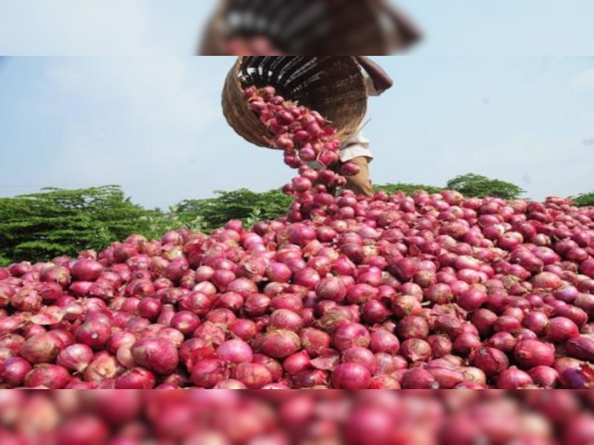 Onion: किसानों को खून के आंसू रुला रहा प्याज, कौड़ी के भाव भी नहीं बिक रहा, कीमत जान रह जाएंगा दंग