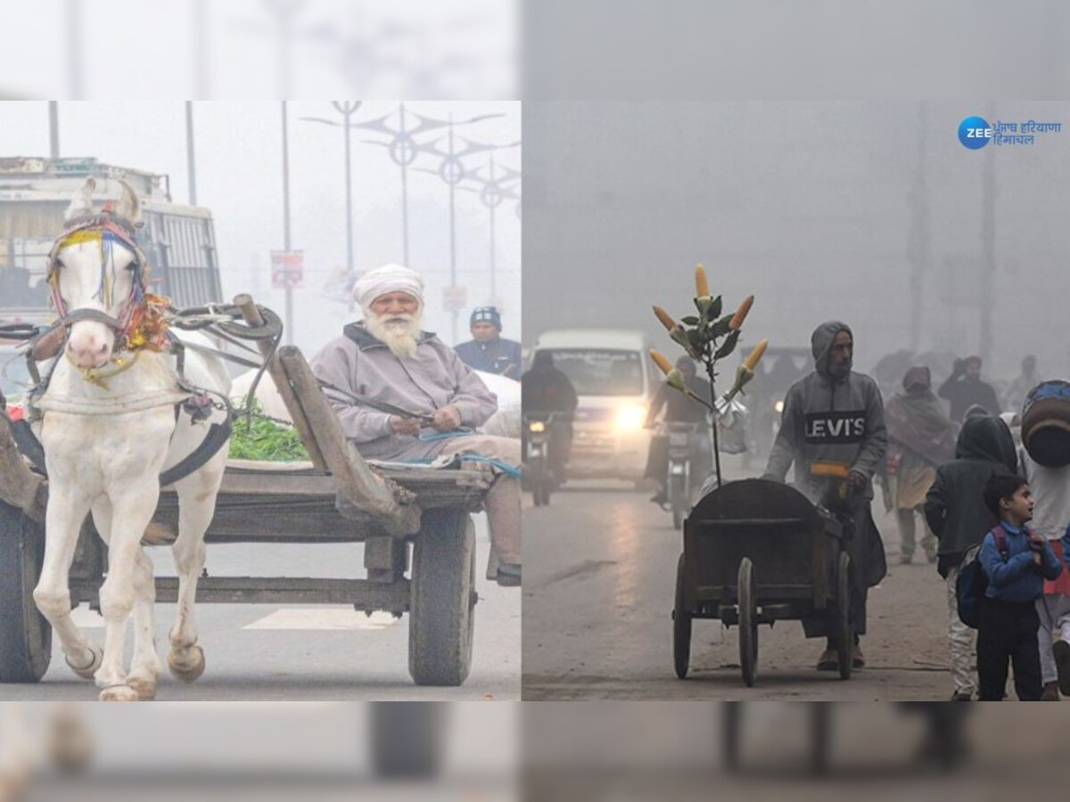 Weather Update: ਪੰਜਾਬ 'ਚ ਕੜਾਕੇ ਦੀ ਠੰਢ ਸ਼ੁਰੂ, ਜਲੰਧਰ 'ਚ ਤੋੜੇ ਰਿਕਾਰਡ 